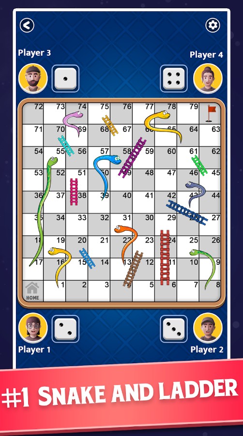 Snakes and Ladders - Ludo Game
1