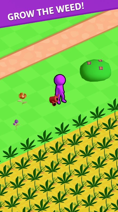 Weed Island1