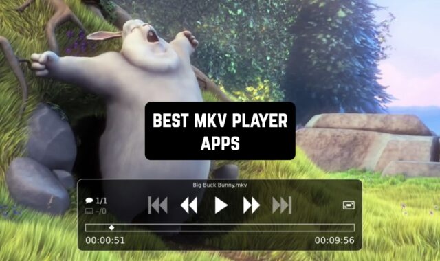 8 Best MKV Player Apps for Android & iOS