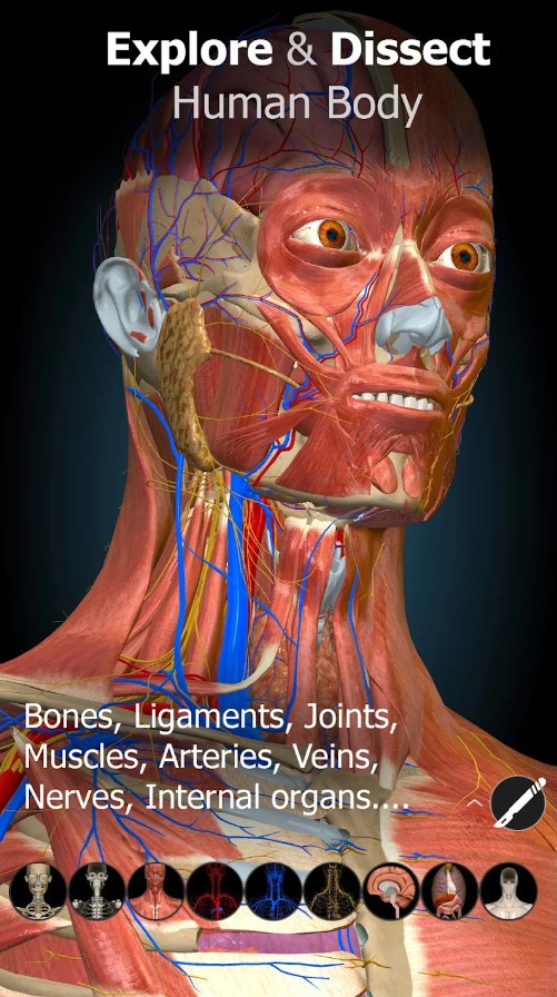 Anatomy Learning - 3D Anatomy
2