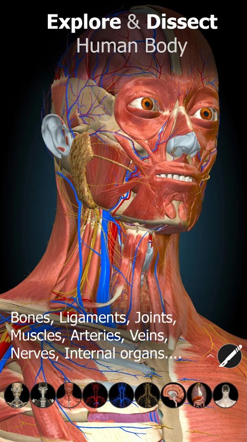 Anatomy Learning - 3D Anatomy
1