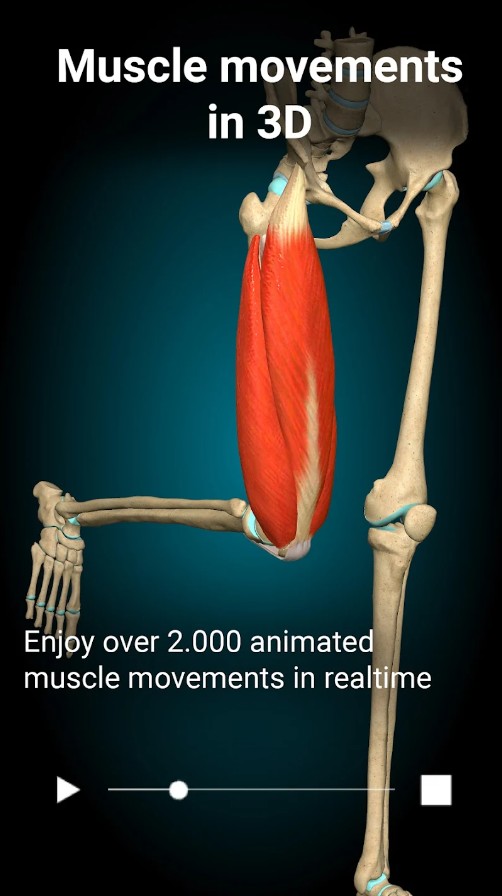 Anatomy Learning - 3D Anatomy
1