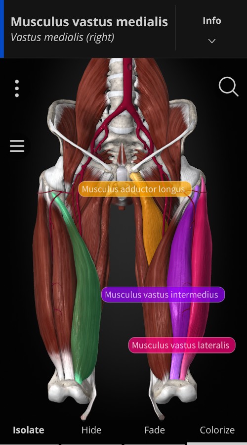 Anatomyka - 3D Anatomy Atlas
2
