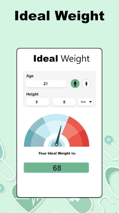 BMI Calculator: BMR & TDEE2