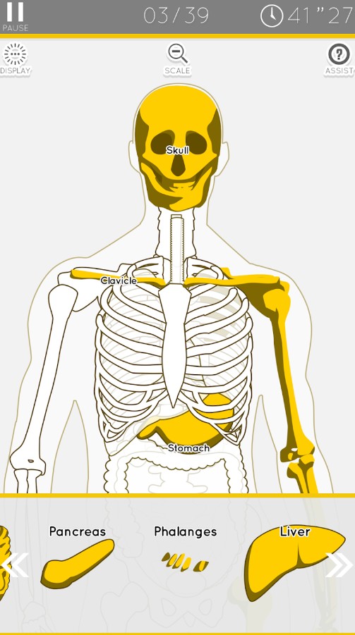 E. Learning Anatomy puzzle
1