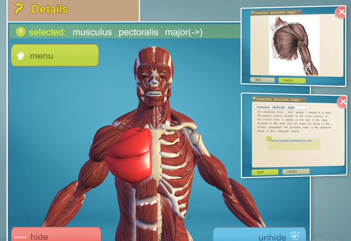 Easy Anatomy 3D - learn anatom
1