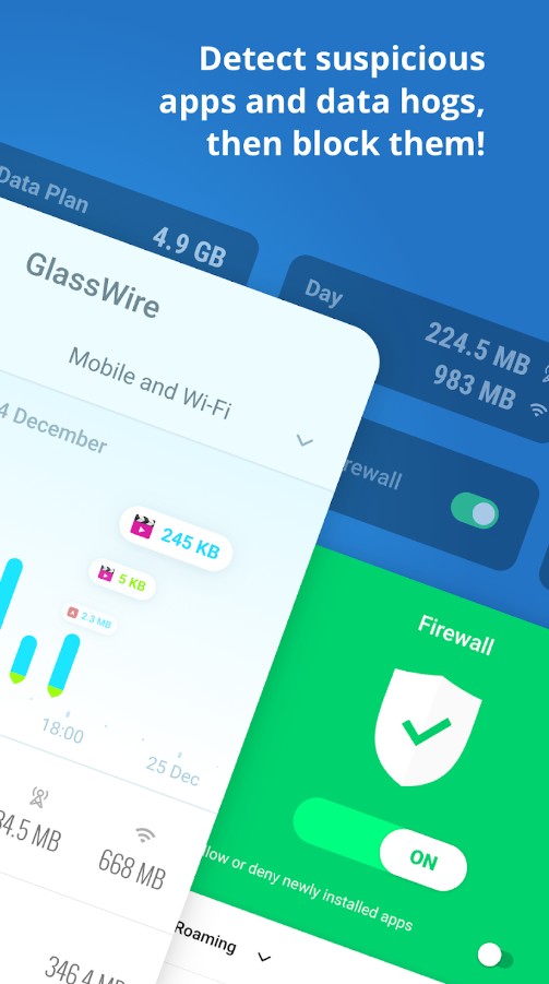 GlassWire Data Usage Monitor
2