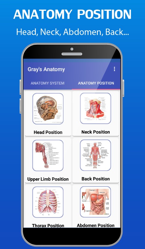 Gray's Anatomy - Anatomy Atlas
2