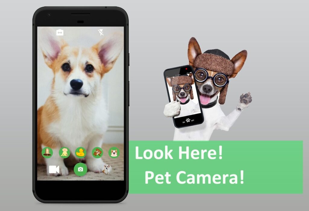 8 Best Pet Camera Apps for Android & iOS Freeappsforme Free apps for