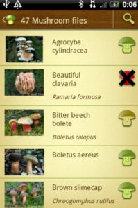 8 Best Mushrooms Identification Apps for Android & iOS| Freeappsforme ...