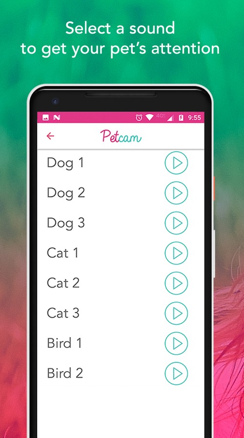 Petcam - Pet Camera
2