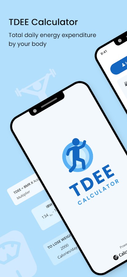 TDEE Calculator: Daily Calorie
2