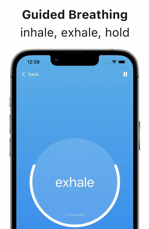 7 Best Paced Breathing Apps in 2024 (Android & iOS) Freeappsforme