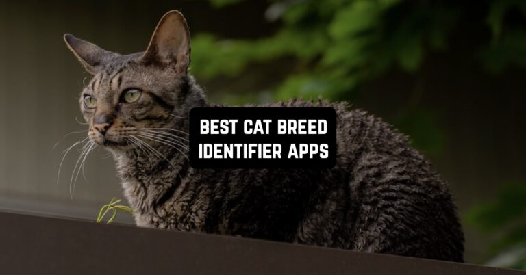 Best Cat Breed Identifier Apps