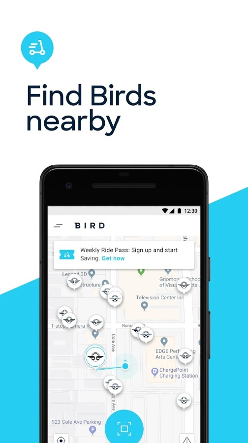 Bird — Ride Electric
1