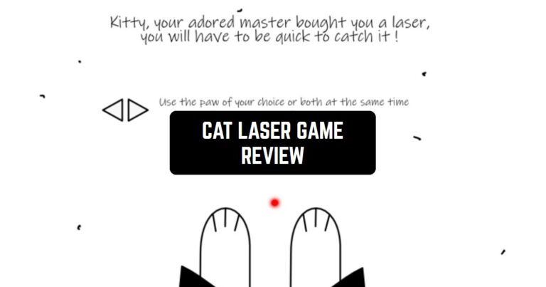 CAT LASER GAME REVIEW1
