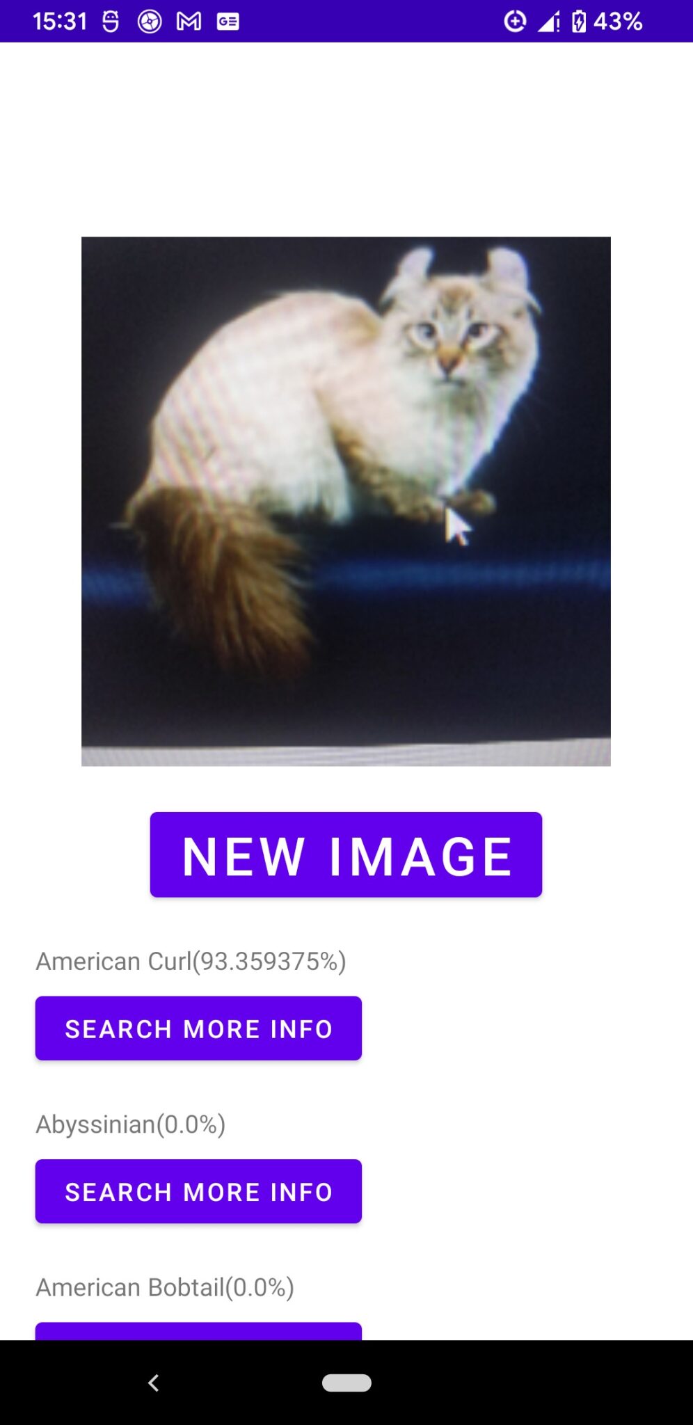 8 Best Cat Breed Identifier Apps for Android & iOS Freeappsforme