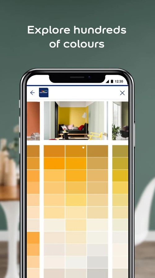 Dulux Visualizer
2