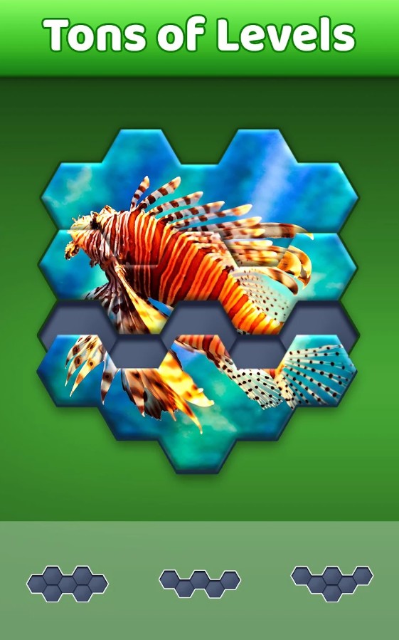 Hexa Jigsaw Puzzle2