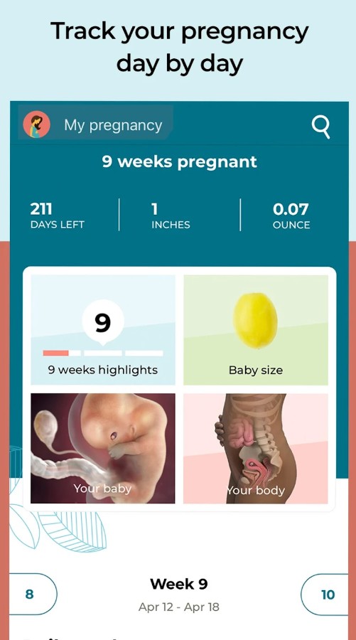 Pregnancy App & Baby Tracker
1