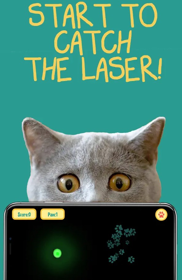 Cat laser pointer - Pet fun2