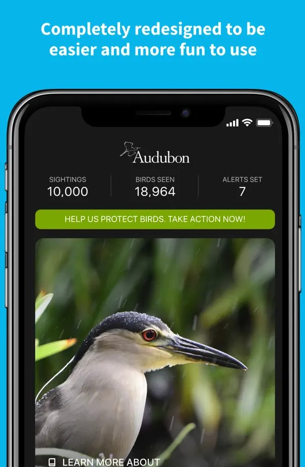 Audubon Bird Guide1