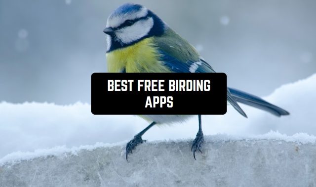 15 Best Free Birding Apps in 2024 for Android & iOS