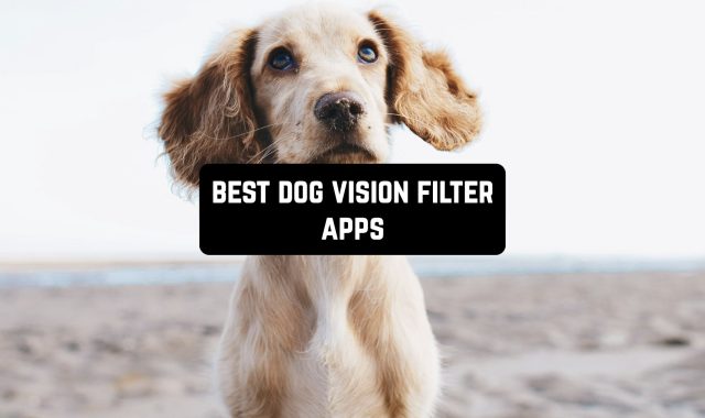 5 Best Dog Vision Filter Apps for Android & iOS