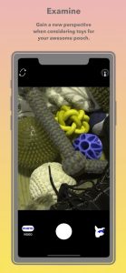 5 Best Dog Vision Filter Apps for Android & iOS | Freeappsforme - Free ...