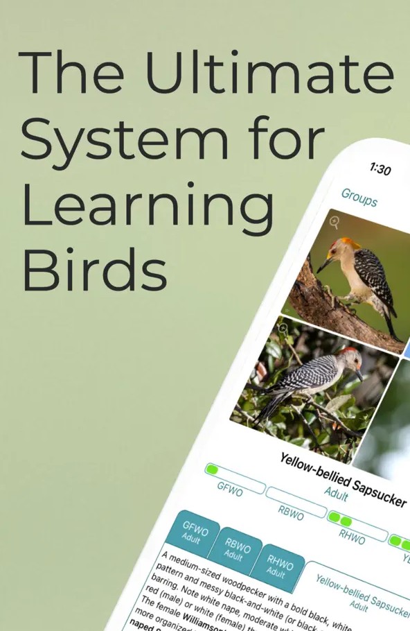 Learn Bird Watching—Larkwire11