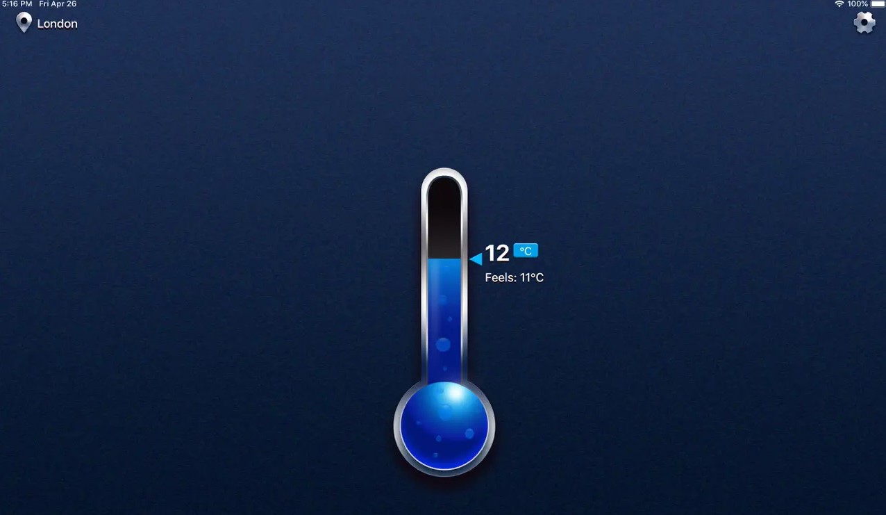 Real Thermometer1