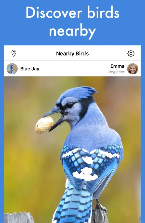 Smart Bird ID1