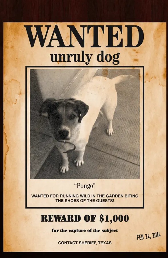 Wanted Poster Pro2