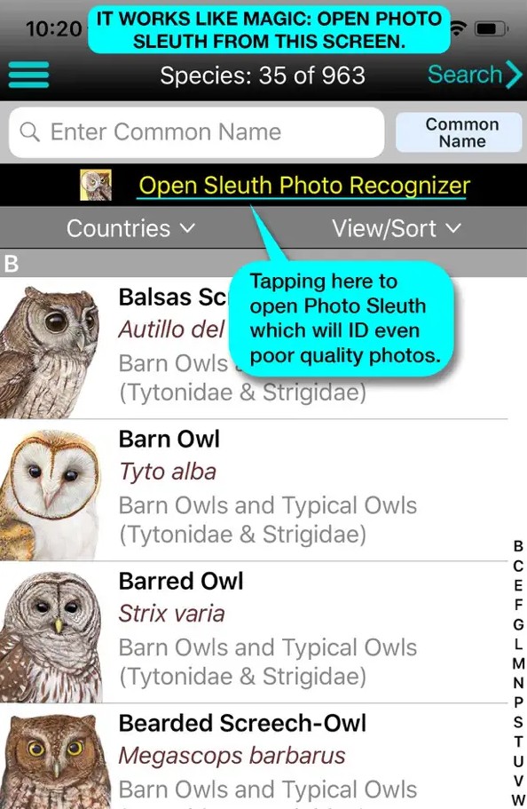 iBird Ultimate Guide to Birds1