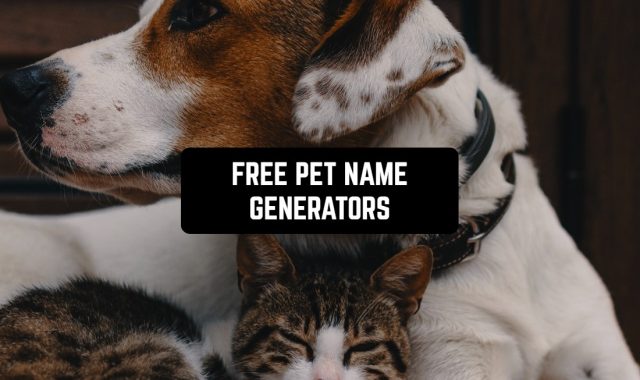 11 Free Pet Name Generators (Apps & Websites)