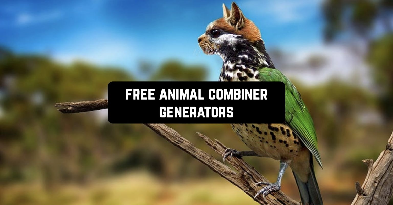 11 Free Animal Combiner Generators Apps Websites Freeappsforme 