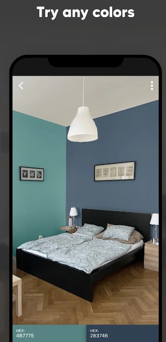 Paint my Room - Try wall color11