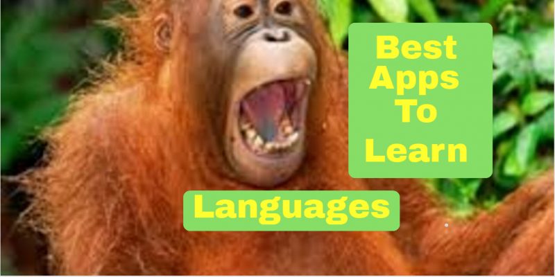 4 Really Best Free Apps to Learn Languages