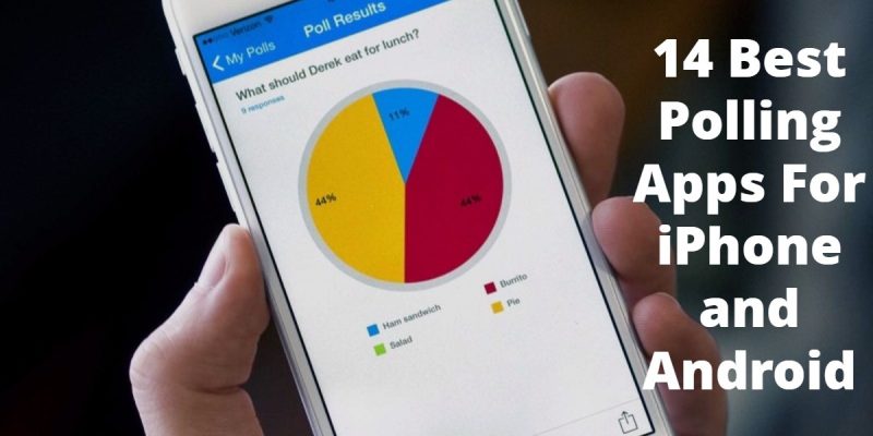 14 Best Polling Apps For iPhone and Android
