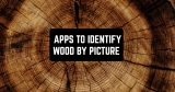 4 Apps to Identify Wood by Picture (Android & iOS)