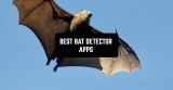 7 Best Bat Detector Apps For Android & iOS