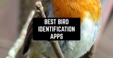 7 Best Bird Identification Apps for Android & iOS