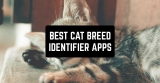 7 Best Cat Breed Identifier Apps for Android & iOS