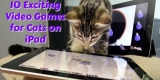 10 Exciting Video Games for Cats on iPad